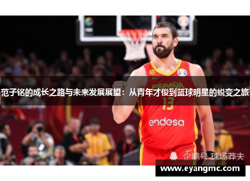 范子铭的成长之路与未来发展展望：从青年才俊到篮球明星的蜕变之旅